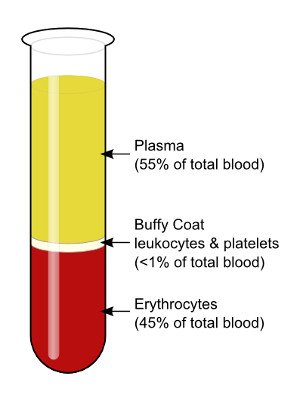 platelet-rich-plasma-img-2
